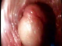 FuckCult presents: Video from the inside of a vagina... very interesting